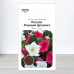 Насіння петунії Рожевий фламінго (рожева+біла), Marvel, 1г